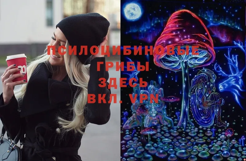 Галлюциногенные грибы Magic Shrooms  закладки  Гудермес 